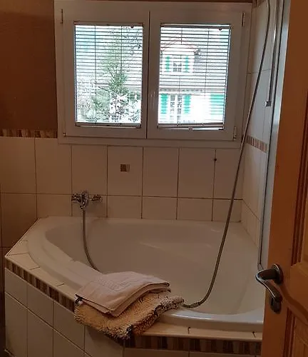 Jani's Ιντερλάκεν